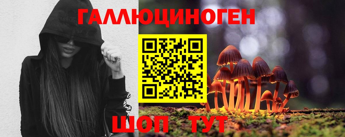 Галлюциногенные грибы ЛСД  Галлюциногенные грибы мухоморы  Дивногорск  Вход с VPN 